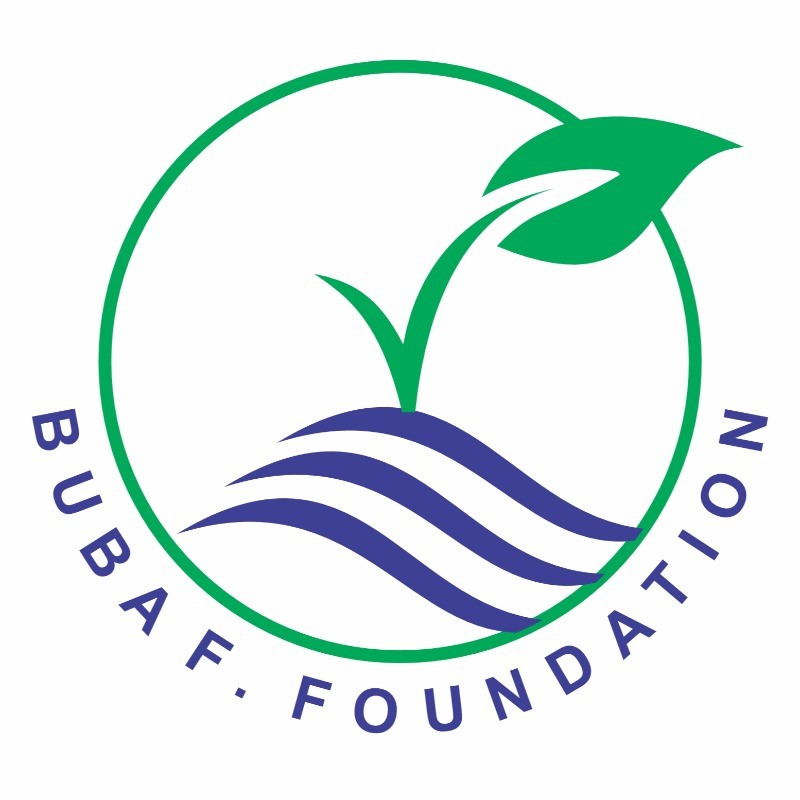 BFF Logo